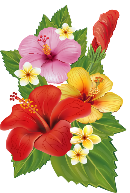 pngwing com (3).png