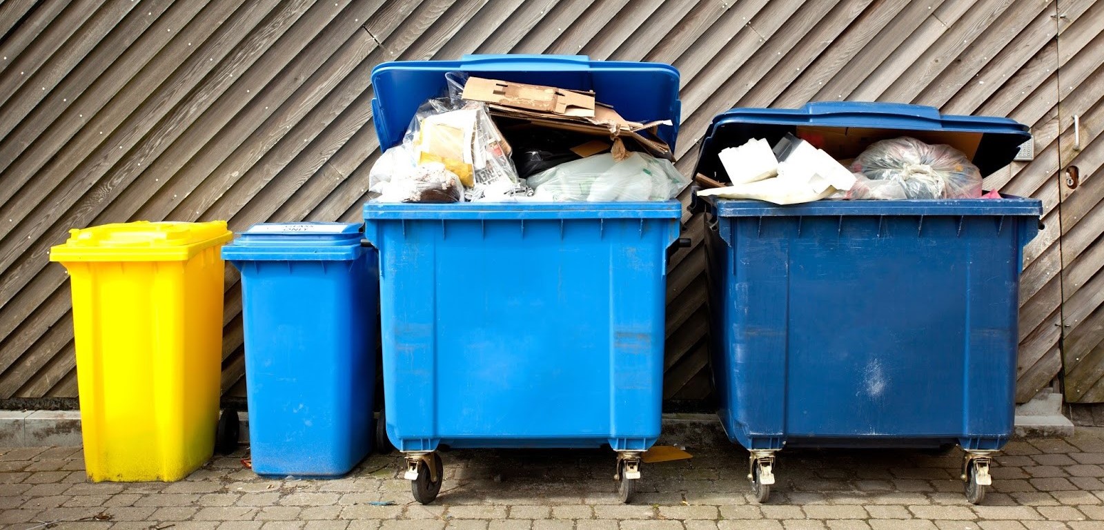 trash-1.jpg