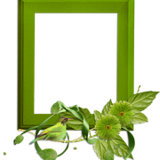 cluster-frame-14