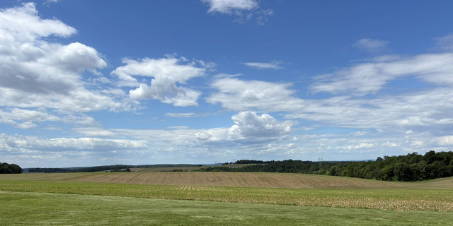 field.jpg