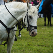 DSC05165
