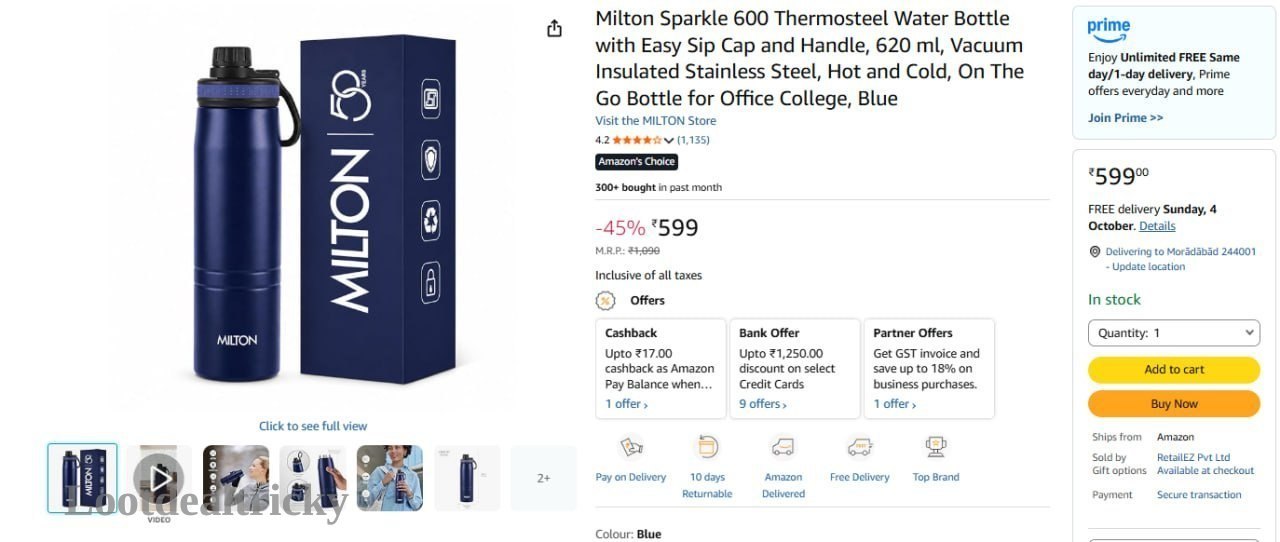 Milton Thermosteel Water | Huge Savings Offer
