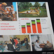 IMG-4502