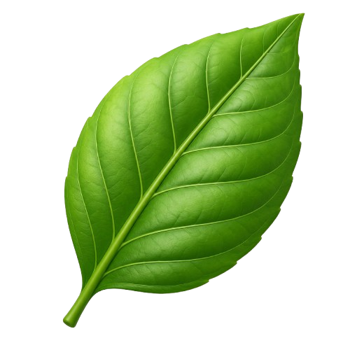 Floating Leaf Transition