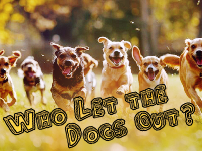 Who-Let-the-Dogs-Out.png