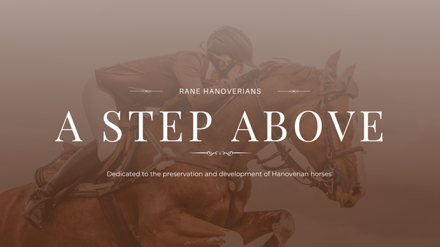 Horse-Rider-Club-2.png?utm_source=chatgpt.com