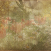 panelsnflowers