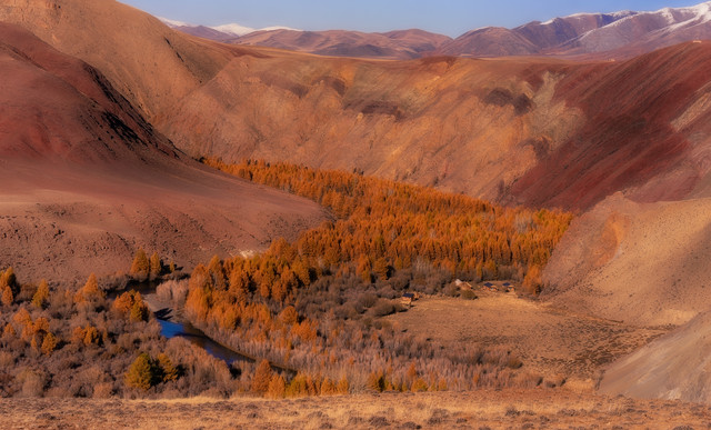 DSC6553 копия.jpg