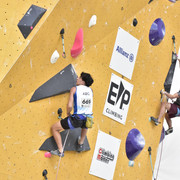 EMA8762