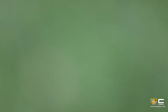 IMG-8197.jpg
