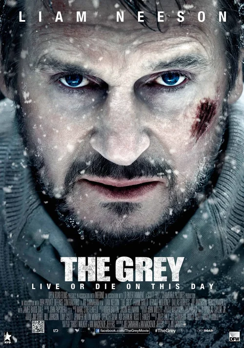 Przetrwanie - The Grey (2011) PL.480p.BRRip.XviD.AC3-LTN / Lektor PL