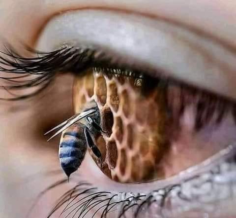 সবচেয়ে ভয়ংকর হাদিসগুলোর একটি