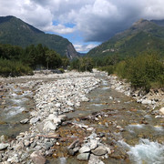 IMG 0502