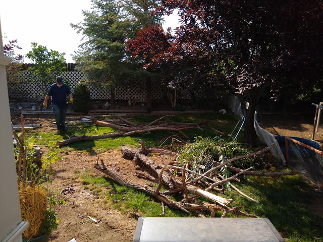 Motta Backyard (4)