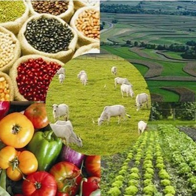 Portal do Agricultor