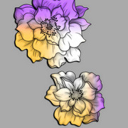 ccb2ec5bfa32a3597a093da3b4bbd44f