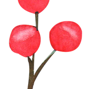 18
