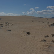 DSCF8563