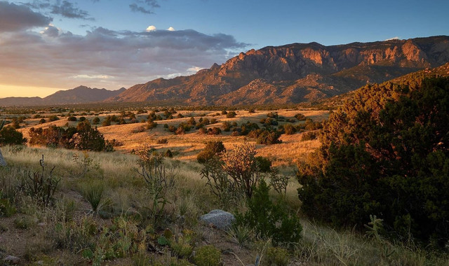 mtns