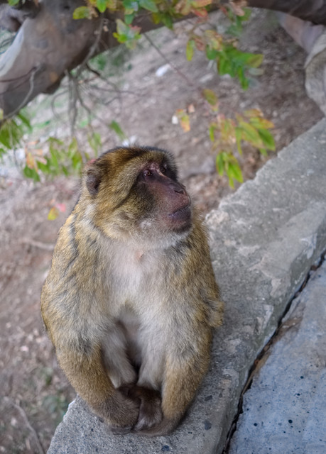DSCF8492.jpg