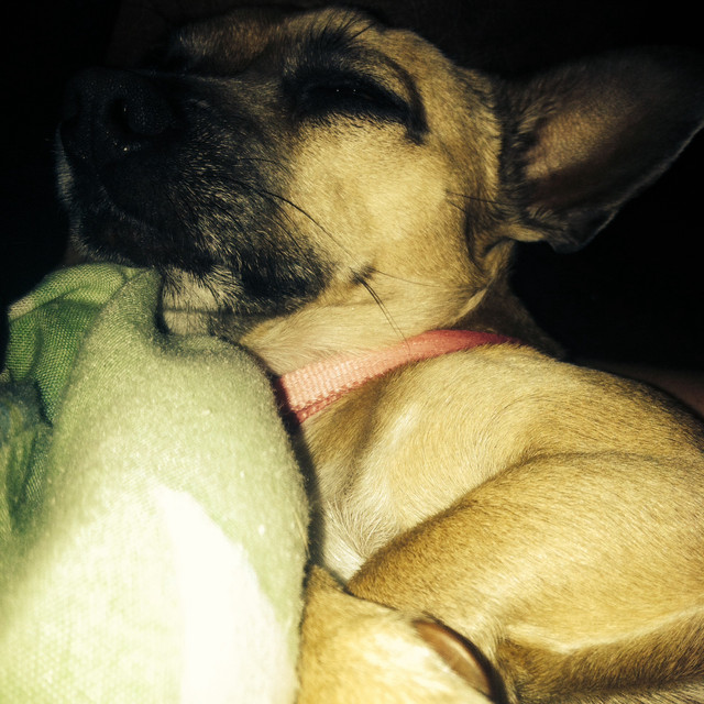 Hehe~ my little baby gurl