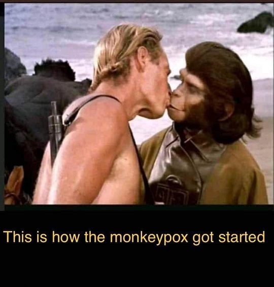 monkeypox2.jpg