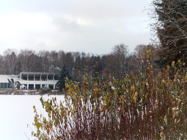 IMG-20231121-150153