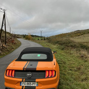 IMG-4355