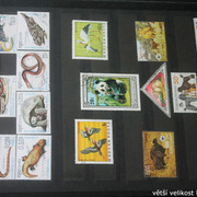 IMG-2258