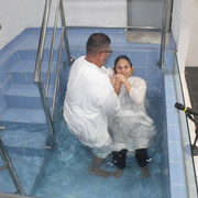 IMG-0354