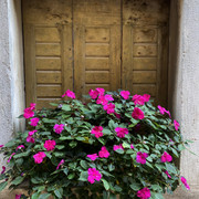 IMG-1803