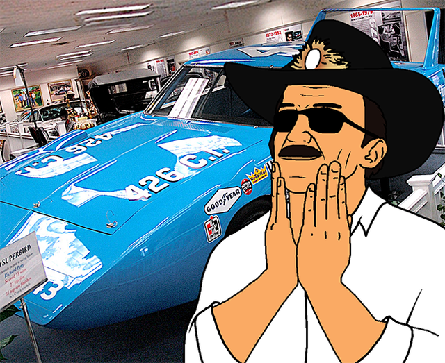 tiny-SO-MANY-IDEAS-RICHARD-PETTY