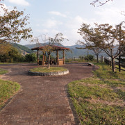 2011-10-08-56