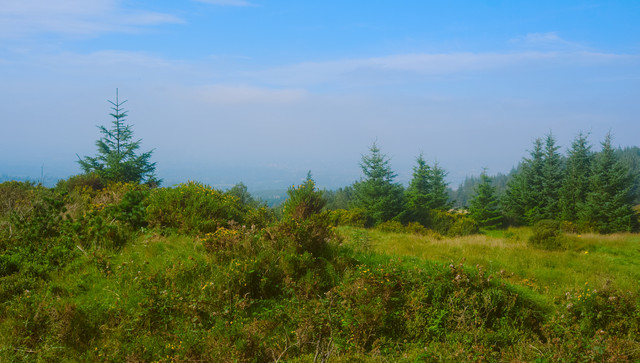 DSCF7027.jpg