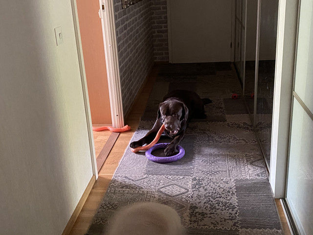 9-DBDE33-A-DEB9-44-C3-8-BB2-76-A9-CD4490