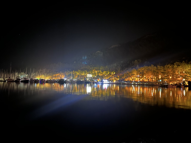 msavdb fotoğrafı