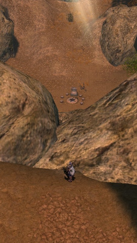 2020 Nightfall 7.jpg
