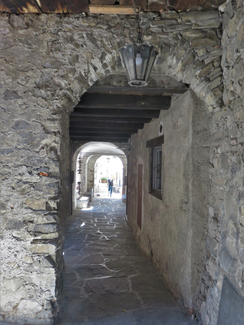 IMG-6