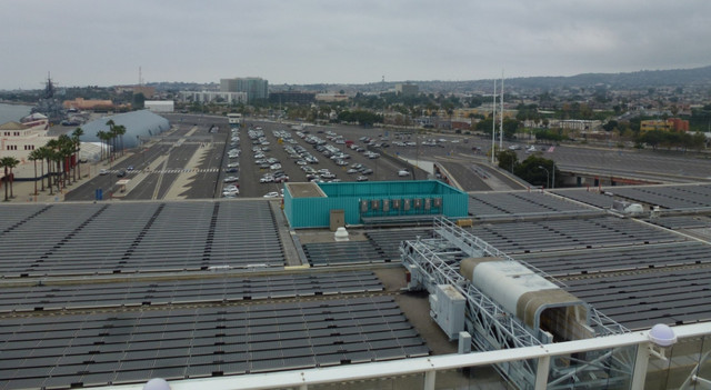P1100006