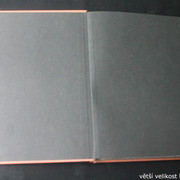 IMG-2377