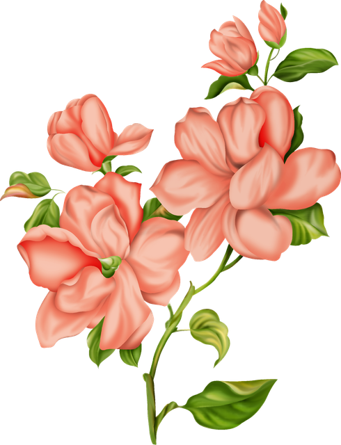 5fc687cd8cd11fd064c732ef4871ae20.png