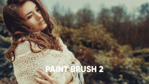 brush-2