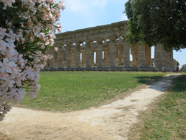 IMG-9109.jpg