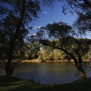 1002a0256m
