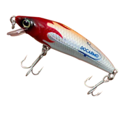 isca-traira-pesca