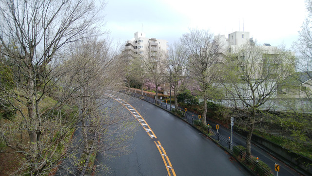 DSC-0067.jpg