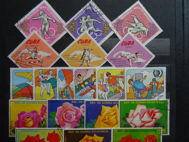 DSC04306.jpg