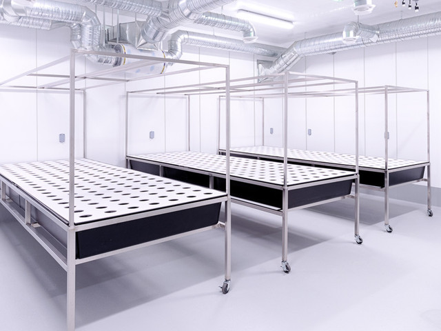 Install PVC Washable Wall Covering For Damage-Free Grow Room Walls:.jpg