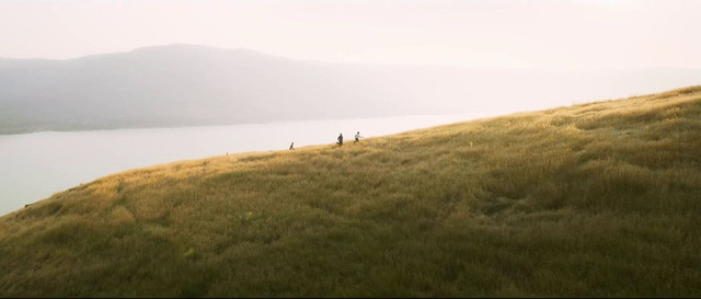 Capture-25.jpg
