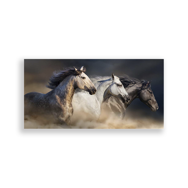 703488-Cavalos-Ana